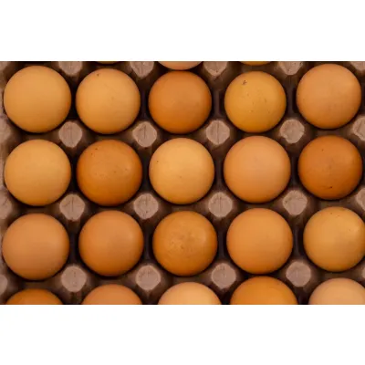 Free-Range Table Eggs