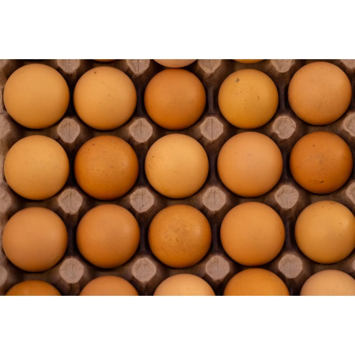 Free-Range Table Eggs (Dozen)
